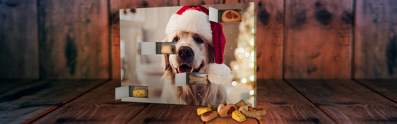Adventkalender mit Hunde-Leckerlies